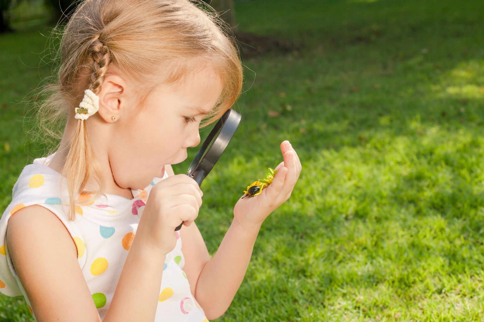 funkidsloisirs.be stages pour enfants printemps Messancy 2025 explorateur de la nature