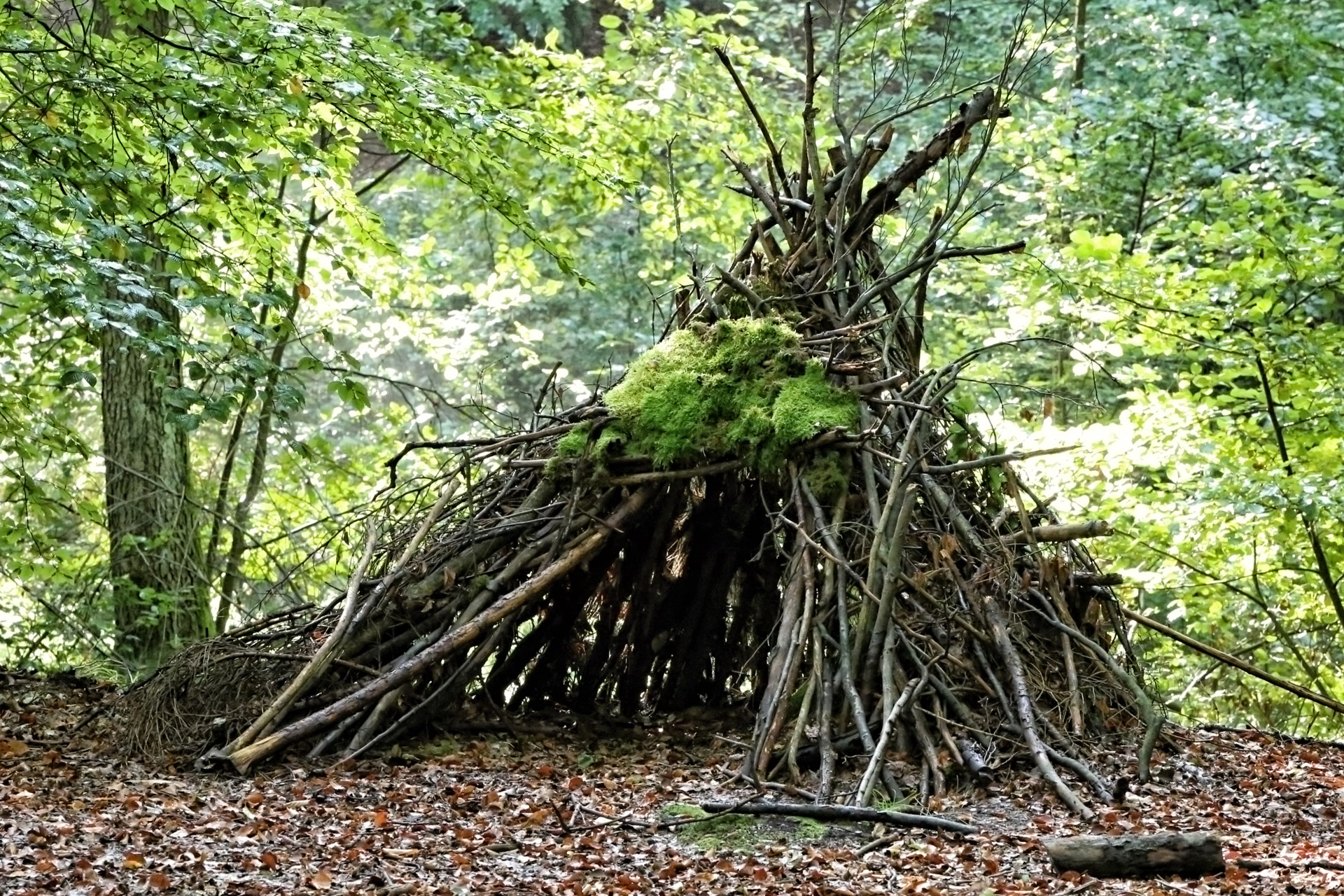 funkidsloisirs.be stage enfant été 2023 nature aventure Cabane et Aventure Messancy