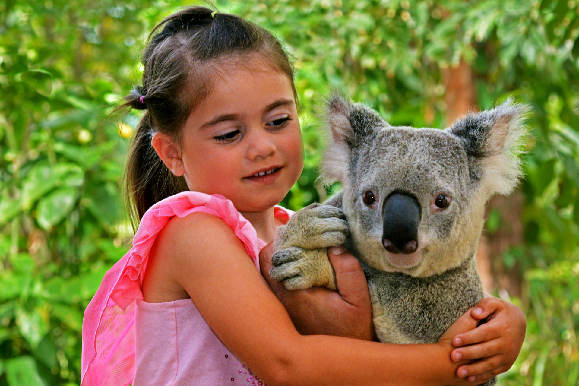 funkidsloisirs.be stage enfant été 2023 nature aventure Tour du Monde des Animaux Messancy